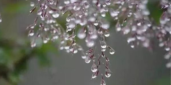 The Third Solar Term in Autumn——White Dew