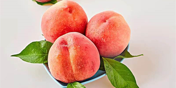 Summer Seasonal Fruit Gifts