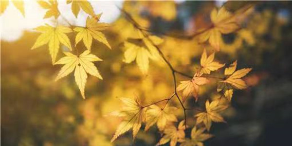 Autumn Equinox